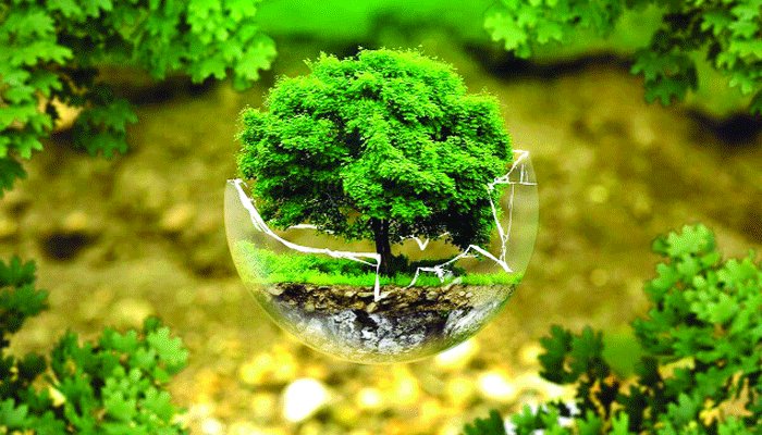 পরিবেশ রক্ষা: আমাদের করণীয় কী?